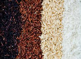 image of rice